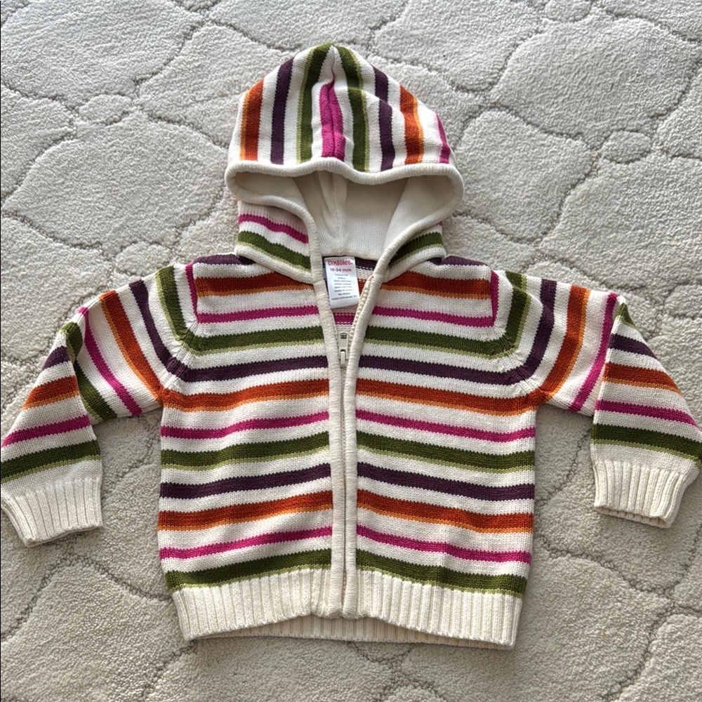 Gymboree Striped Multicolor Kids Hoodie—18-24 m